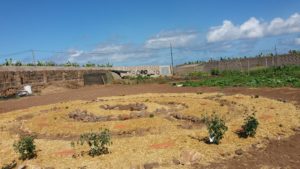 Copia de 20170422_110100